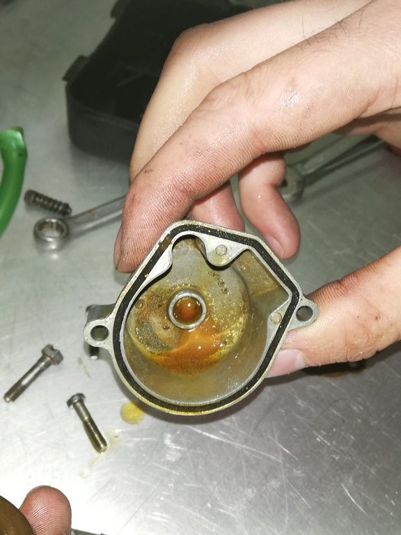 Vergaserreinigung im Detail